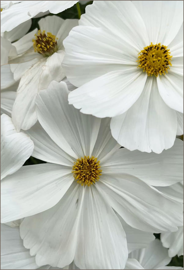 サイトのメインビジュアルに使用した写真のレタッチ後の画像