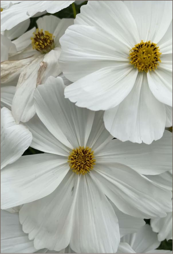 サイトのメインビジュアルに使用した写真のレタッチ前の画像